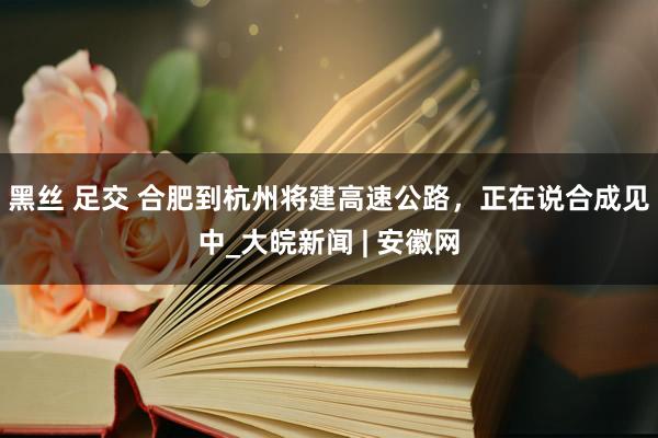 黑丝 足交 合肥到杭州将建高速公路,正在说合成见中_大皖新闻 | 安徽网