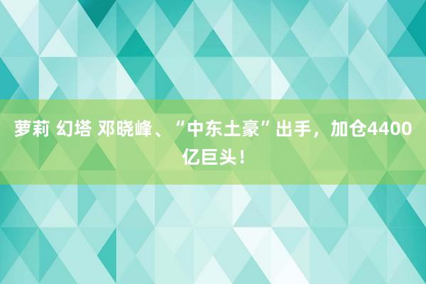 萝莉 幻塔 邓晓峰、“中东土豪”出手,加仓4400亿巨头!