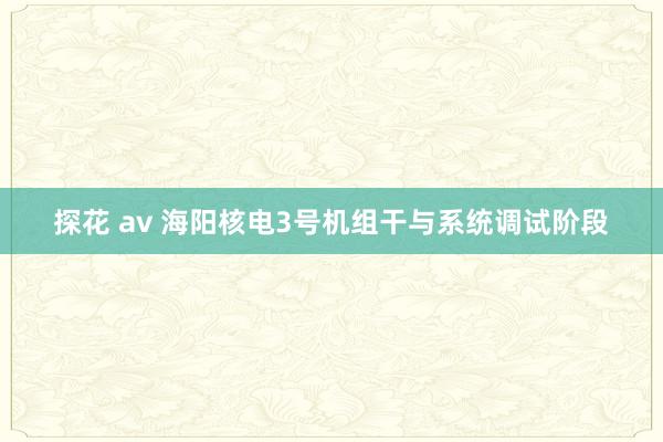 探花 av 海阳核电3号机组干与系统调试阶段