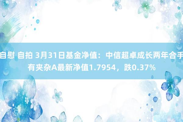 自慰 自拍 3月31日基金净值:中信超卓成长两年合手有夹杂A最新净值1.7954,跌0.37%