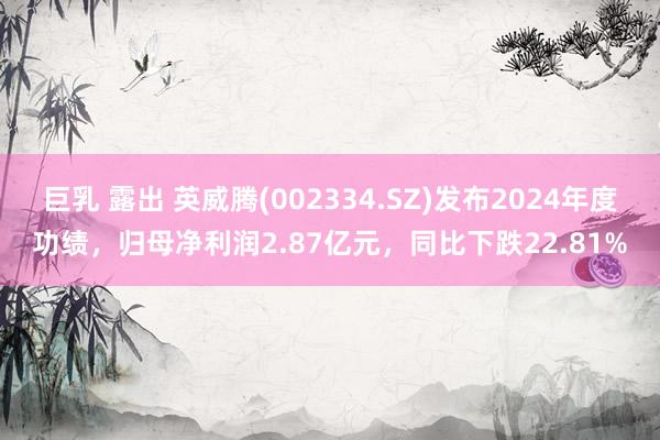 巨乳 露出 英威腾(002334.SZ)发布2024年度功绩,归母净利润2.87亿元,同比下跌22.81%