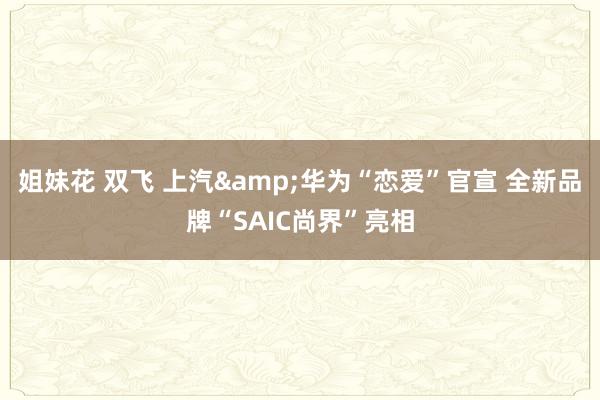 姐妹花 双飞 上汽&华为“恋爱”官宣 全新品牌“SAIC尚界”亮相