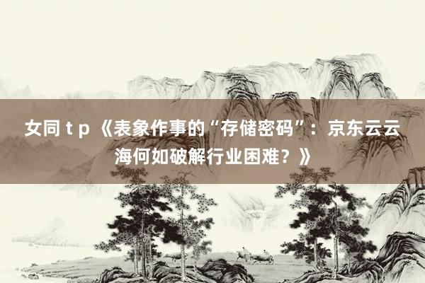 女同 t p 《表象作事的“存储密码”：京东云云海何如破解行业困难？》