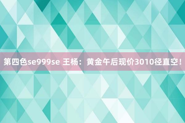 第四色se999se 王杨：黄金午后现价3010径直空！