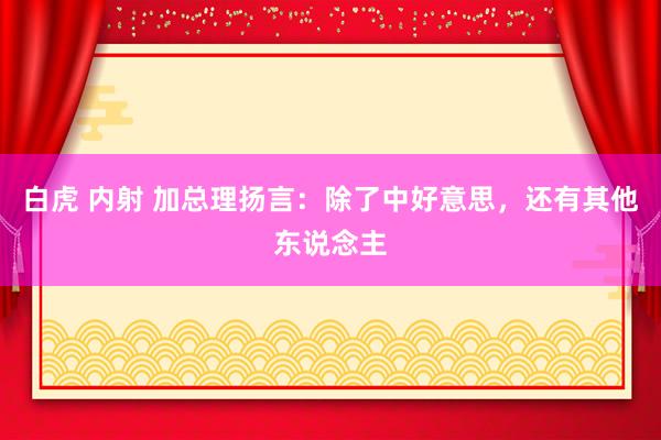 白虎 内射 加总理扬言：除了中好意思，还有其他东说念主