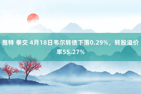 推特 拳交 4月18日韦尔转债下落0.29%,转股溢价率55.27%