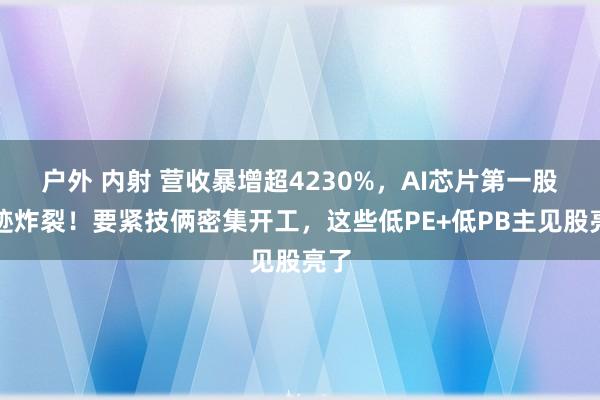 户外 内射 营收暴增超4230%，AI芯片第一股事迹炸裂！要紧技俩密集开工，这些低PE+低PB主见股亮了