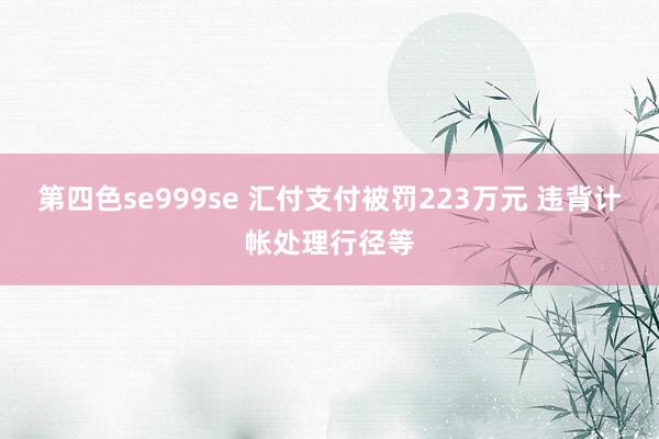 第四色se999se 汇付支付被罚223万元 违背计帐处理行径等