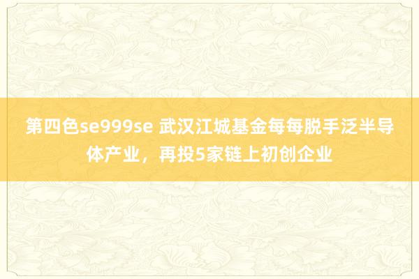 第四色se999se 武汉江城基金每每脱手泛半导体产业,再投5家链上初创企业