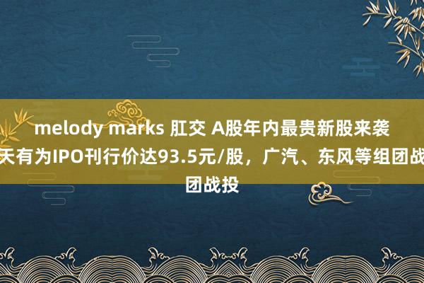 melody marks 肛交 A股年内最贵新股来袭!天有为IPO刊行价达93.5元/股,广汽、东风等组团战投