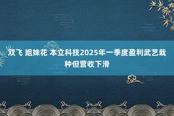 双飞 姐妹花 本立科技2025年一季度盈利武艺栽种但营收下滑