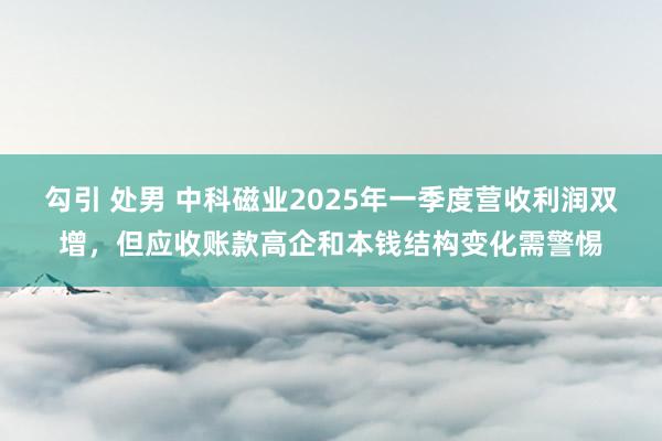 勾引 处男 中科磁业2025年一季度营收利润双增，但应收账款高企和本钱结构变化需警惕
