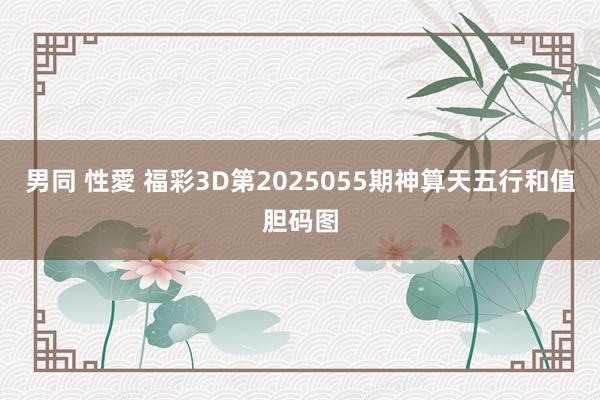 男同 性愛 福彩3D第2025055期神算天五行和值胆码图